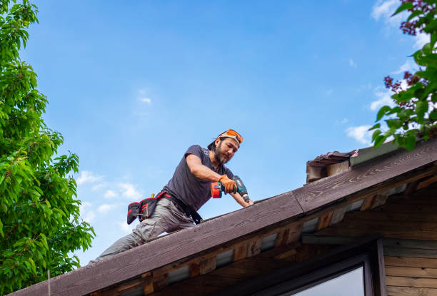 Best Metal Roofing Installation  in Winthrop, MN