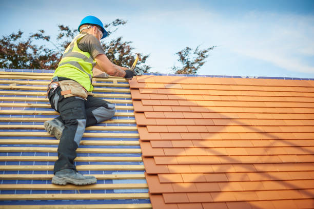 Best Wood Shake Roofing  in Winthrop, MN